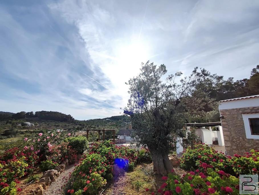 Casa Can Lluc Con Piscina, Jardin Y Vista Al Campo Sant Miquel de Balansat Exteriér fotografie
