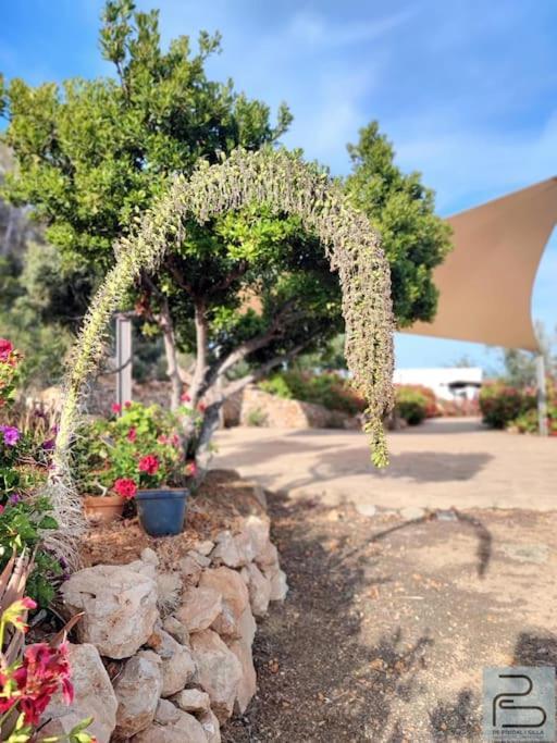 Casa Can Lluc Con Piscina, Jardin Y Vista Al Campo Sant Miquel de Balansat Exteriér fotografie