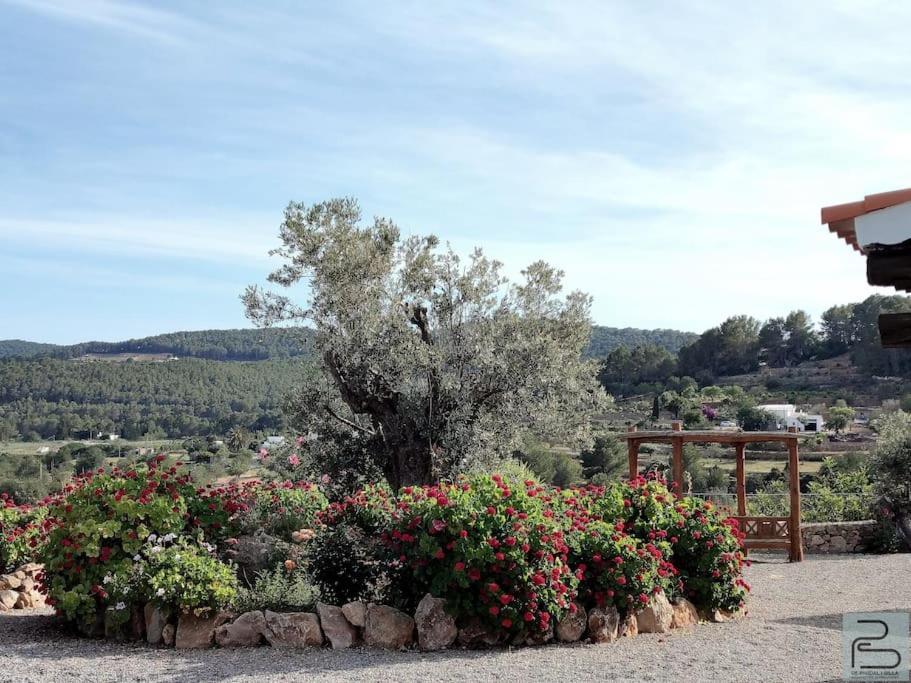 Casa Can Lluc Con Piscina, Jardin Y Vista Al Campo Sant Miquel de Balansat Exteriér fotografie