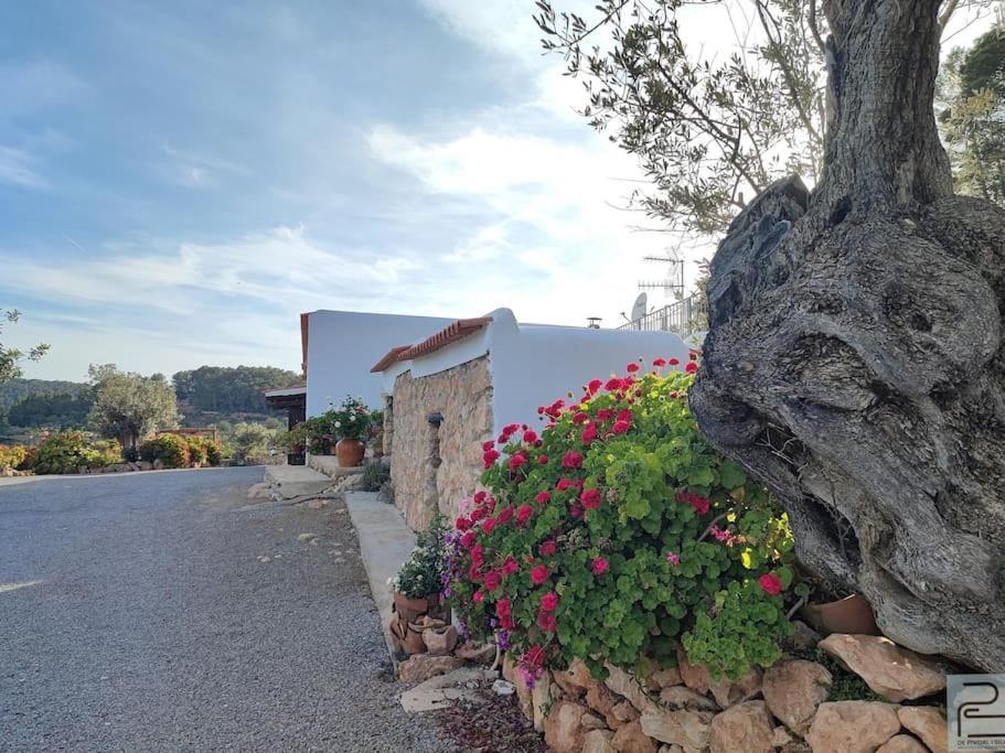 Casa Can Lluc Con Piscina, Jardin Y Vista Al Campo Sant Miquel de Balansat Exteriér fotografie